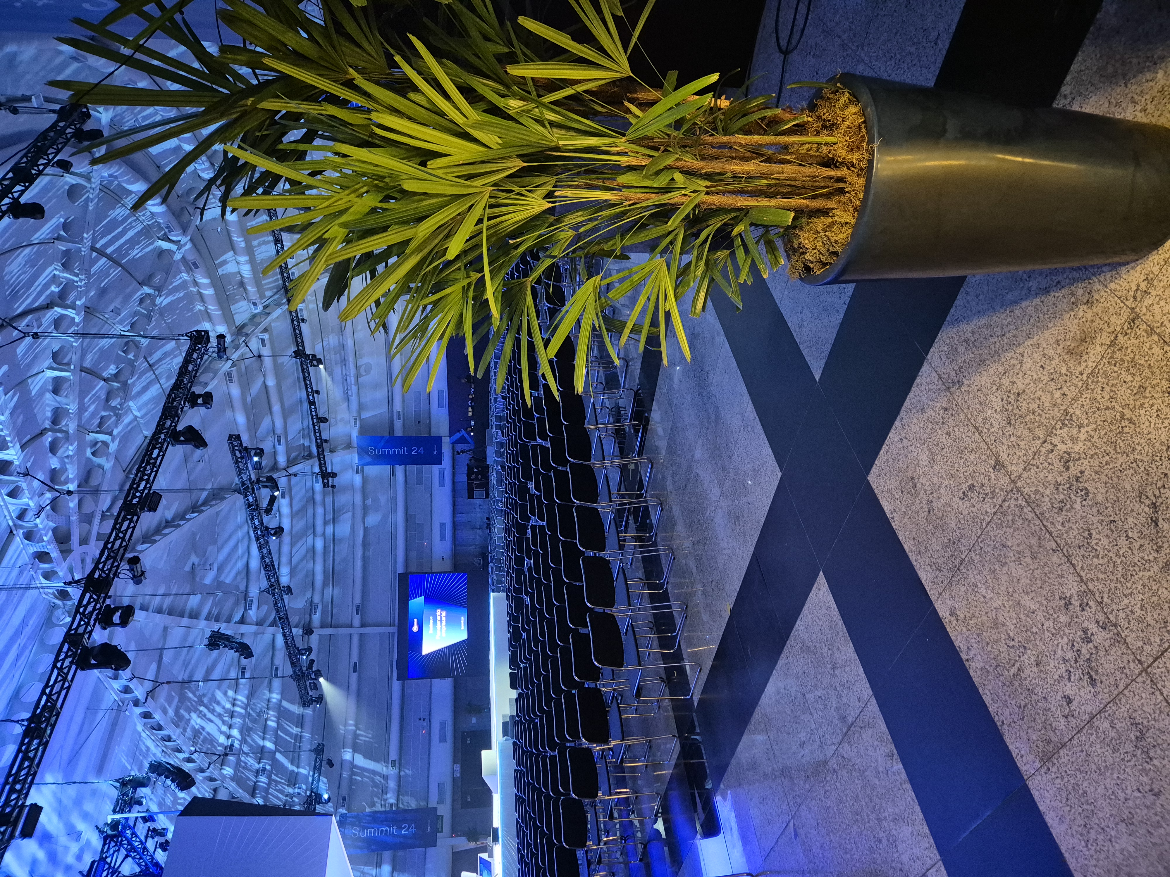 Aluguel de Plantas