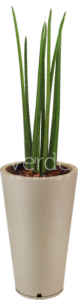 Vaso 3