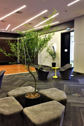 Ambiente 1