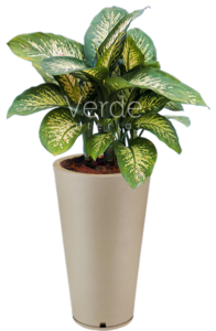 Vaso 1