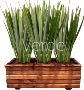Vaso 2