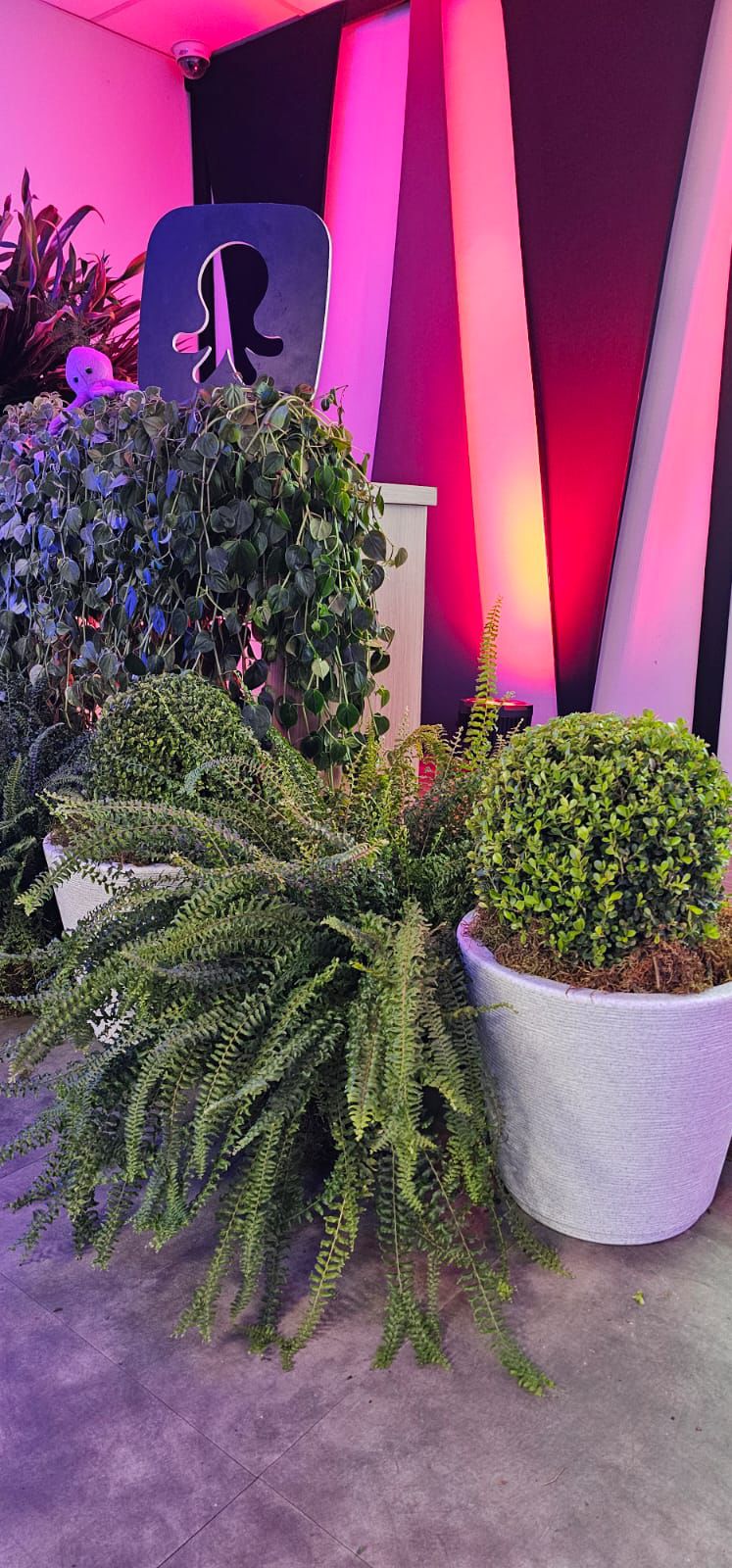 Serviços Realizados